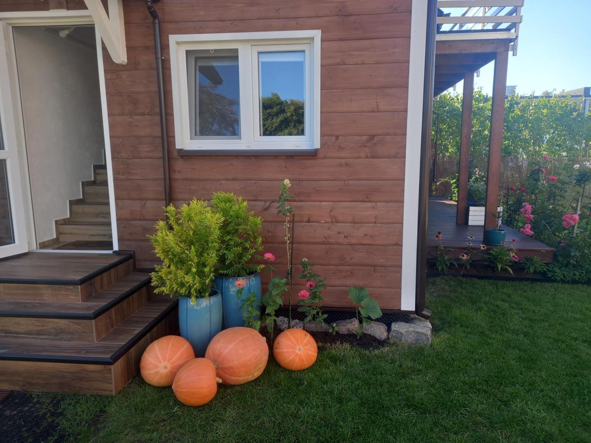 Morski 1 Stegna  Exterior photo